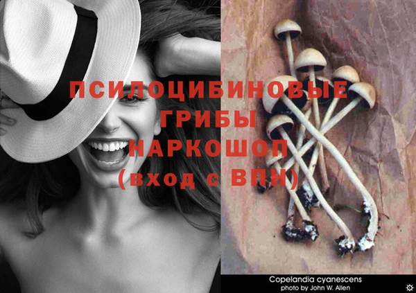 бошки Абинск