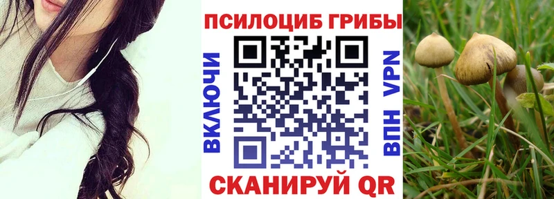 hydra   наркота  Котлас  Псилоцибиновые грибы ЛСД 
