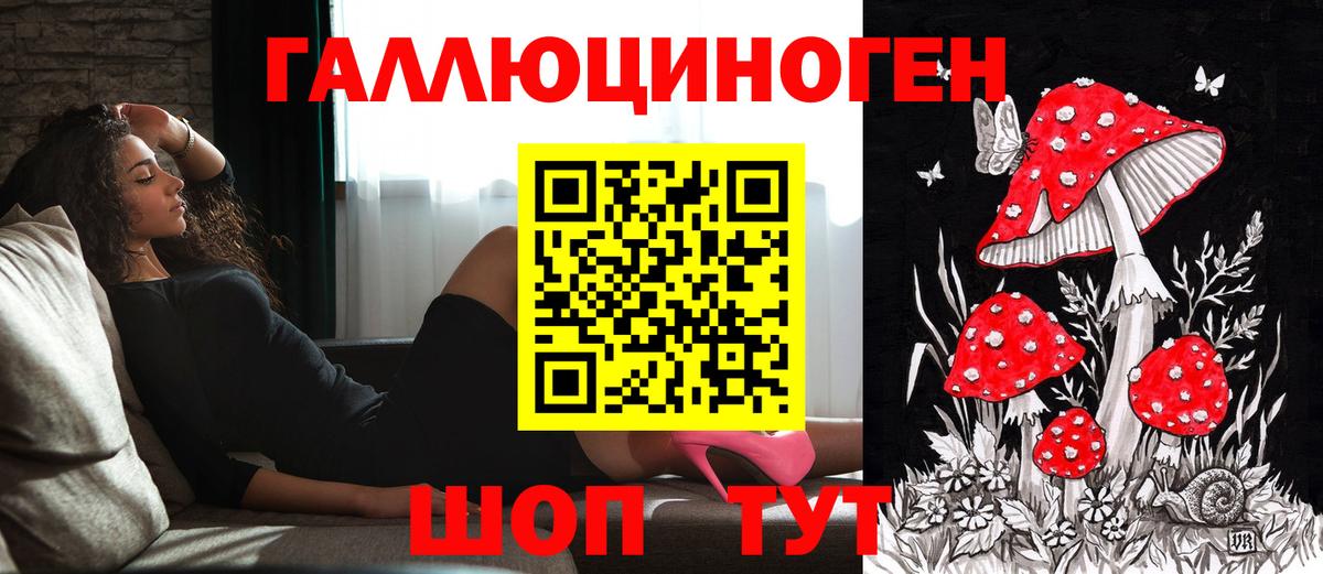 как найти   Галлюциногенные грибы ЛСД  Котлас  Вход с VPN  Псилоцибиновые грибы ЛСД 